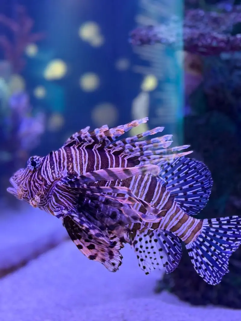 The Maritime Aquarium at Norwalk, Norwalk, Fairfield County