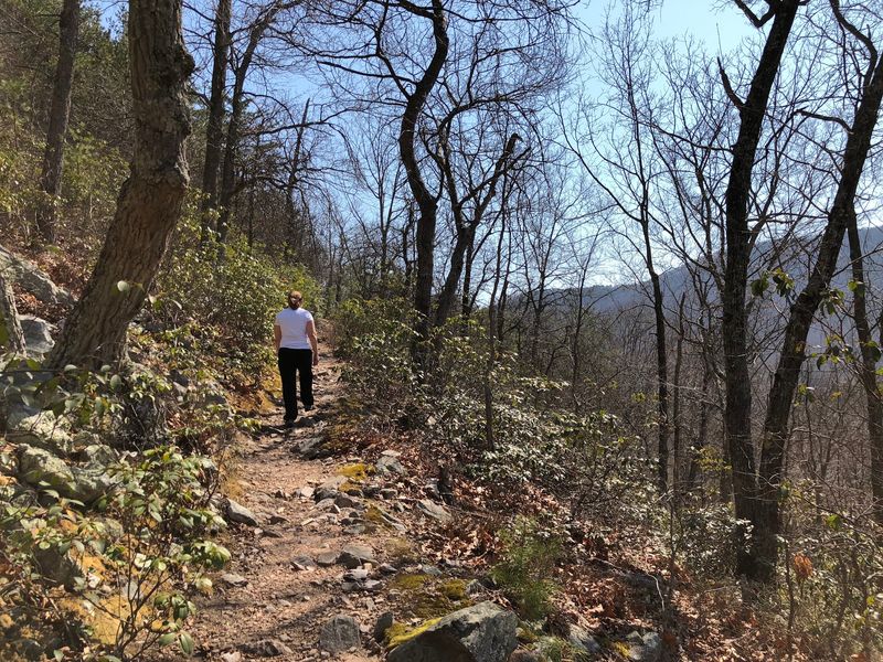 Signal Knob Trail