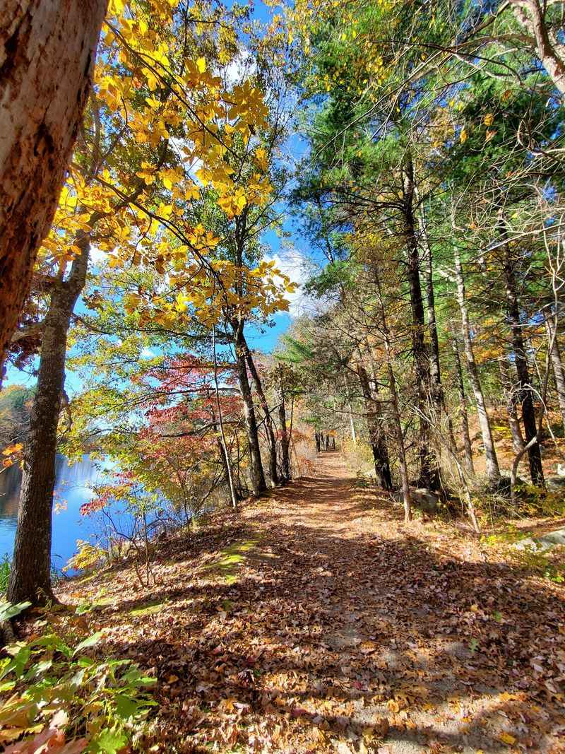 Stony Brook Wildlife Sanctuary - Norfolk