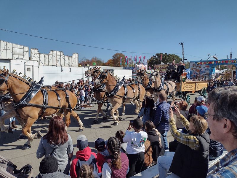 Topsfield Fair: Big Pumpkins, Bigger Curiosity