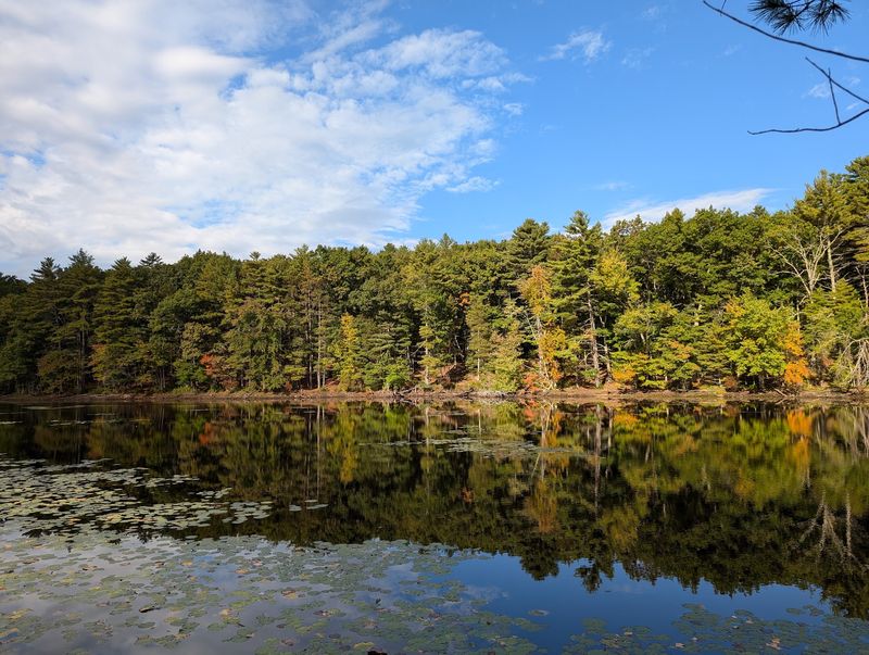 Harold Parker State Forest - Andover