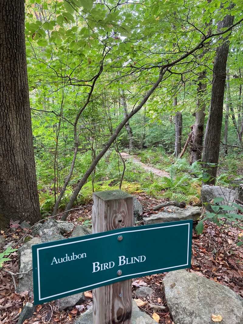 Greenwich Audubon Center & Main Sanctuary - Greenwich