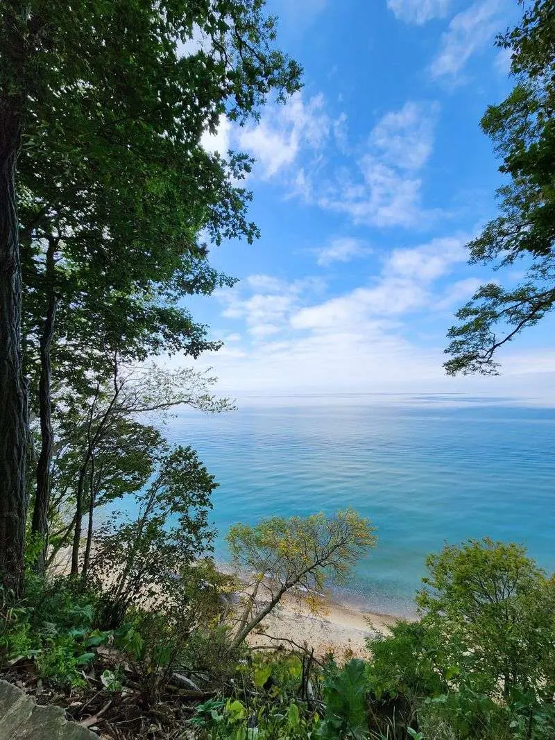 Lake Bluff Bird Sanctuary in Manistee, Manistee County