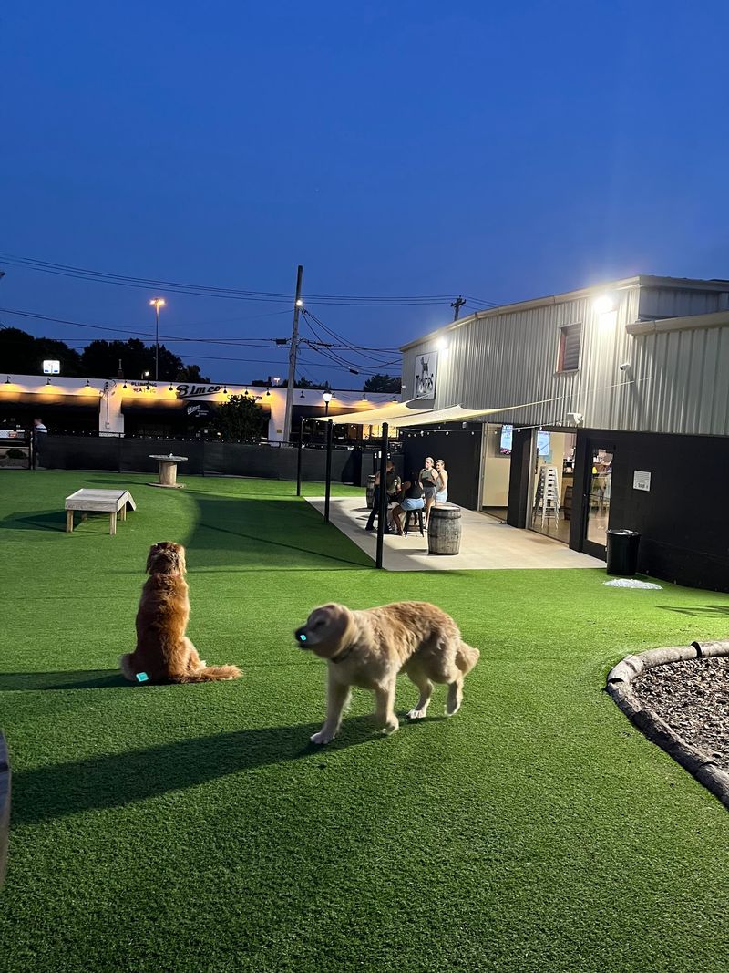 Tucker's Tap Yard in Winston-Salem, Forsyth County,
