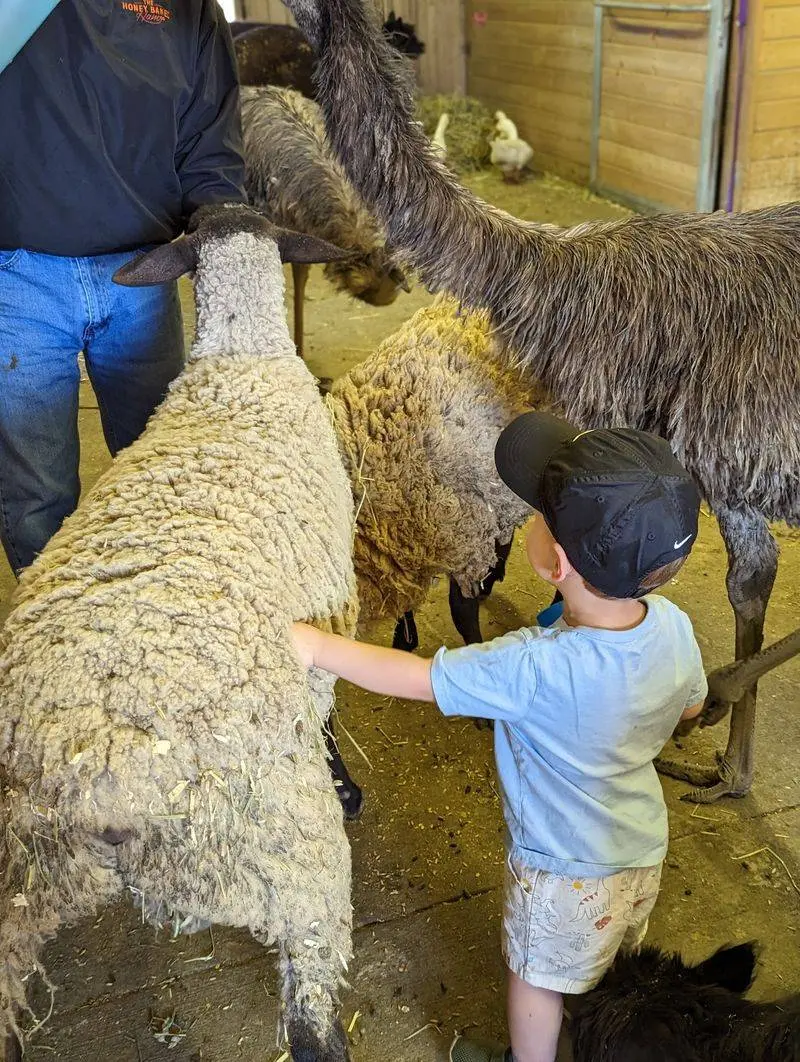 Bunnies, Baby Cows, and Big Smiles at Party At The Barn