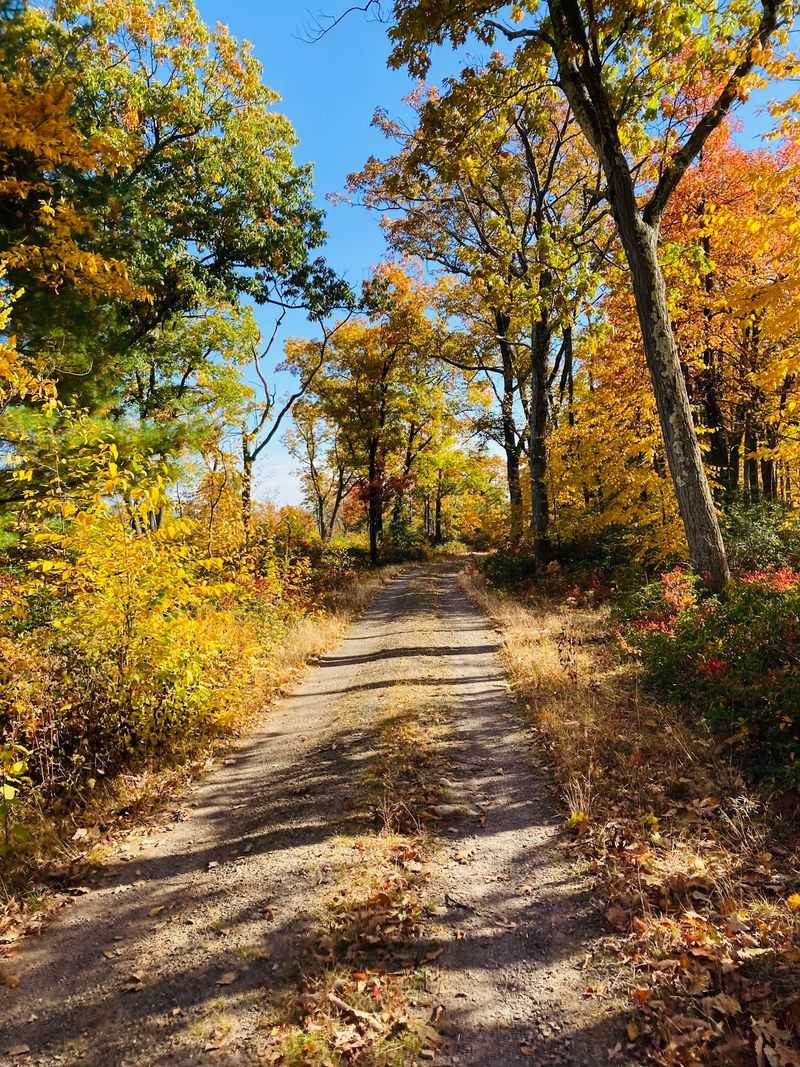 Greenwood Fire Tower Trail, Huntingdon, Huntingdon County,