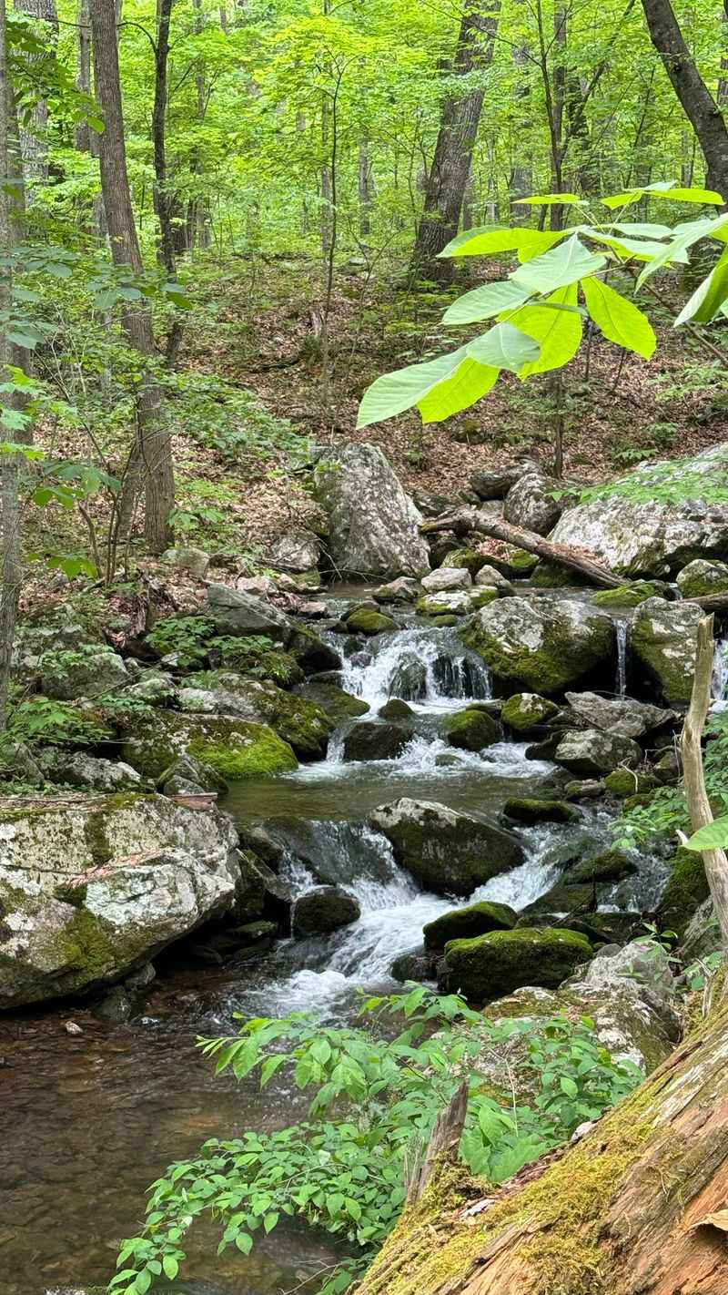 Apple Orchard Falls in Sedalia, Bedford County