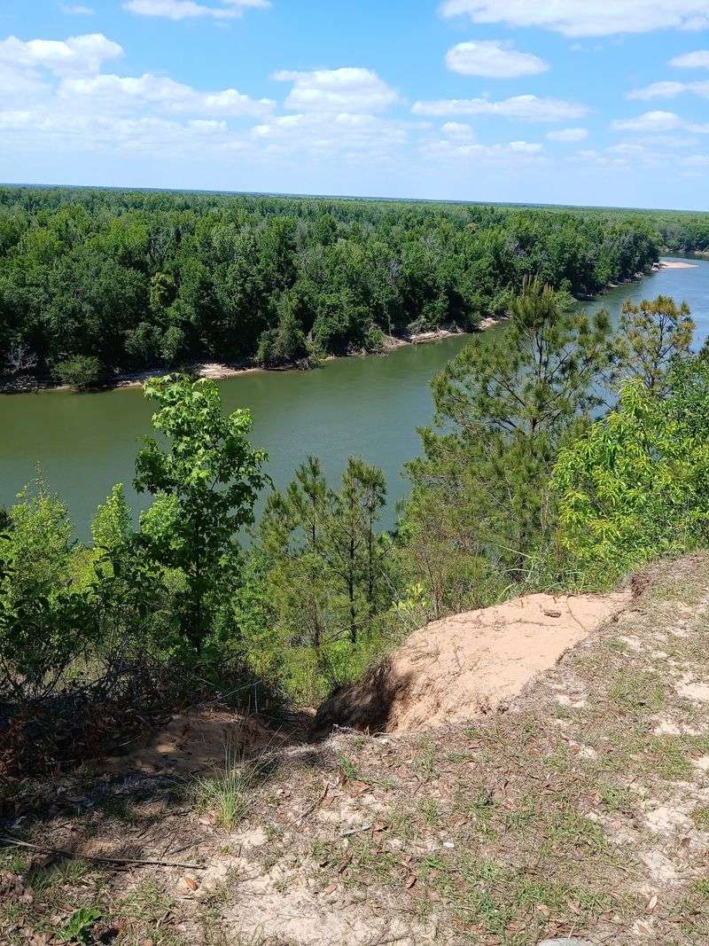 Garden of Eden Trail - Apalachicola Bluffs and Ravines Preserve