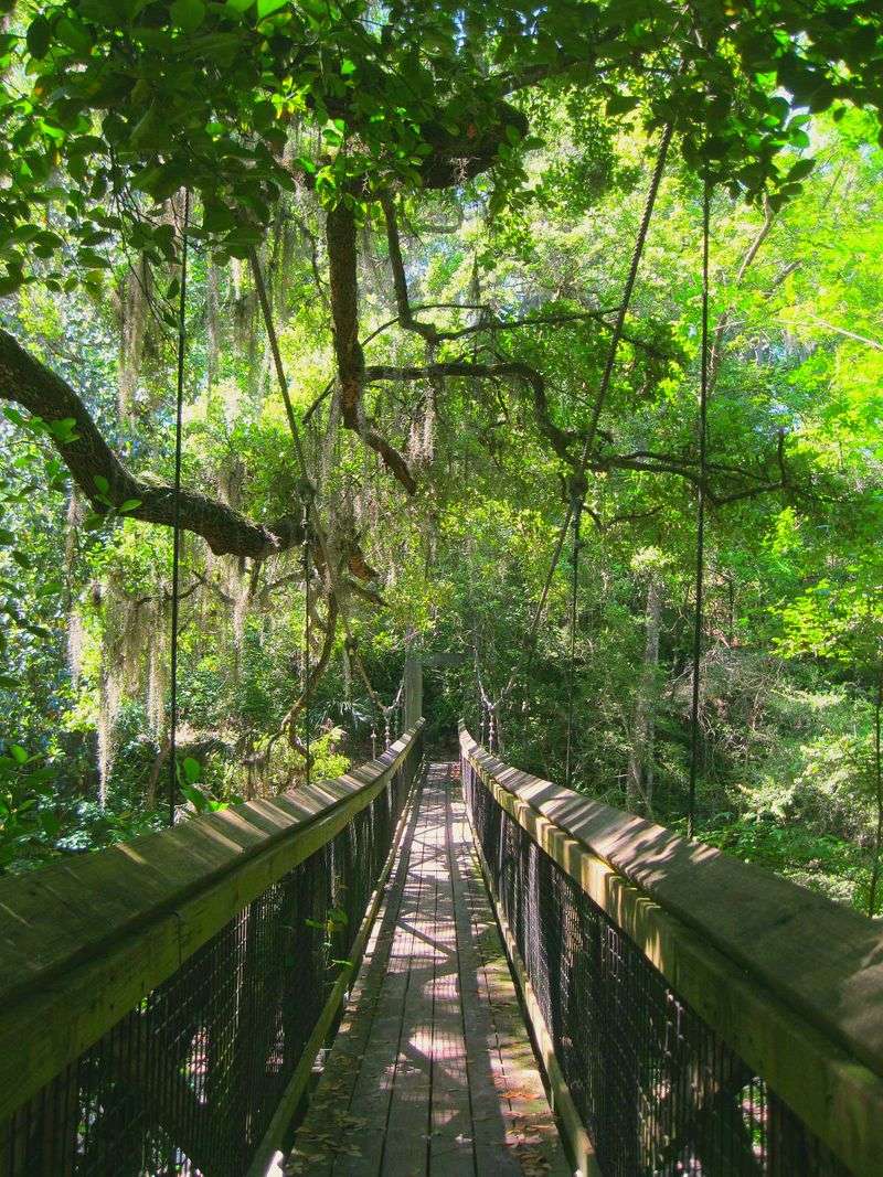Ravine Gardens State Park Trail, Palatka, Putnam County