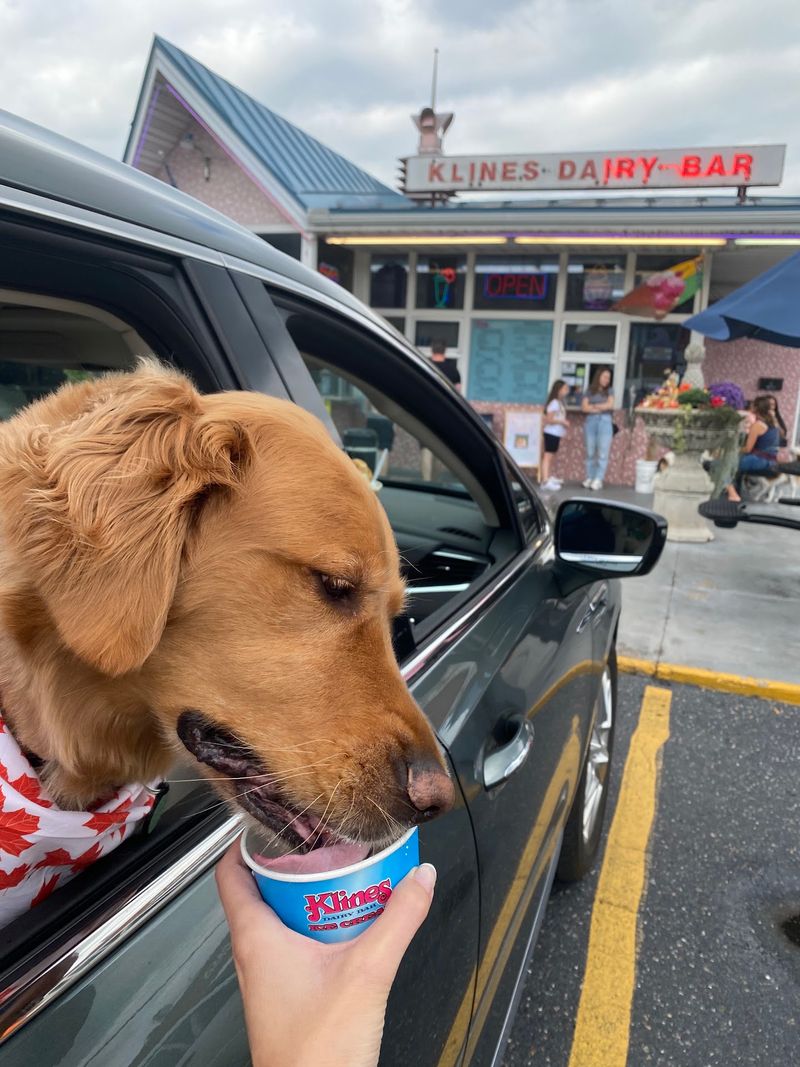 A Pup Cup Adds a Tail-Wagging Moment