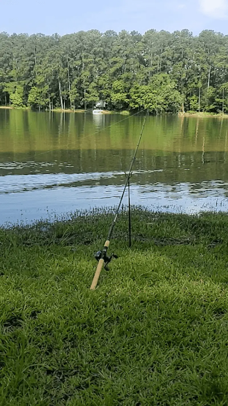 Fishing Spots Where Patience Pays Off