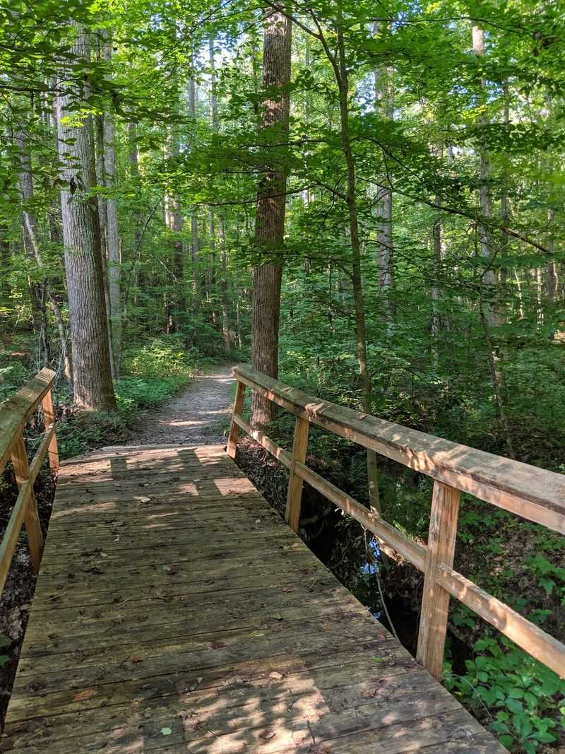 Two Lakes, One Quiet Afternoon - Twin Lakes State Park in Green Bay, Prince Edward County