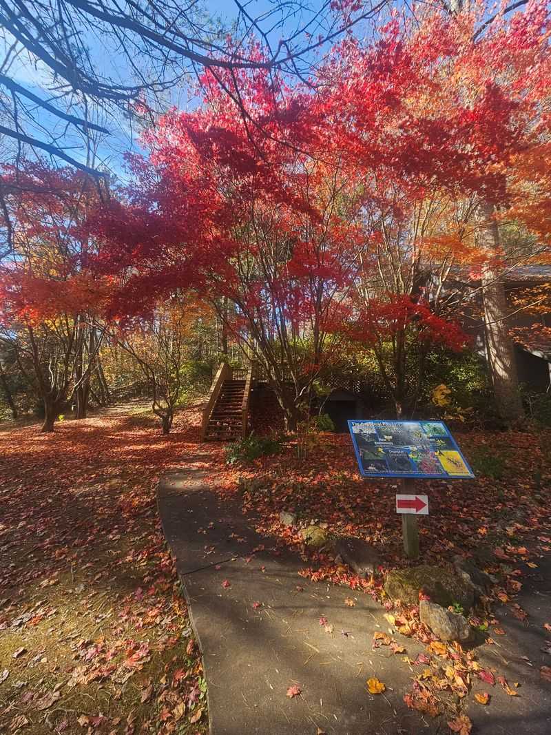 Every Season Changes The Mood Of The Woods