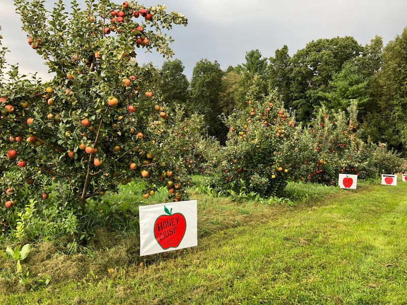 Buell’s Orchard - Eastford