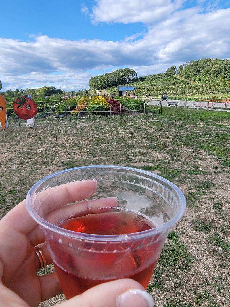 Sip Sweet Apple Cider Fresh From the Farm