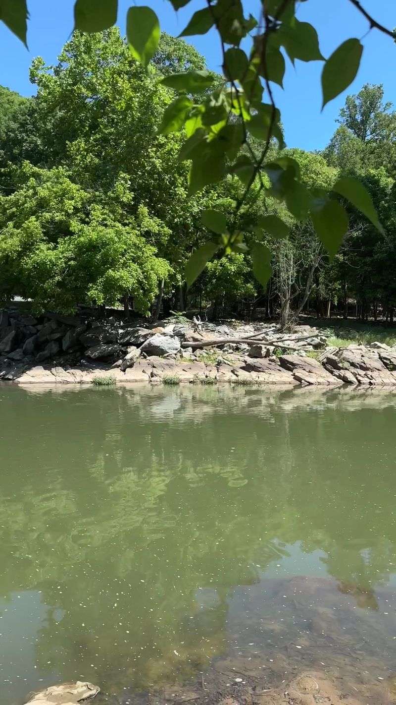 Roanoke River Paddle Trail - Lower Roanoke River