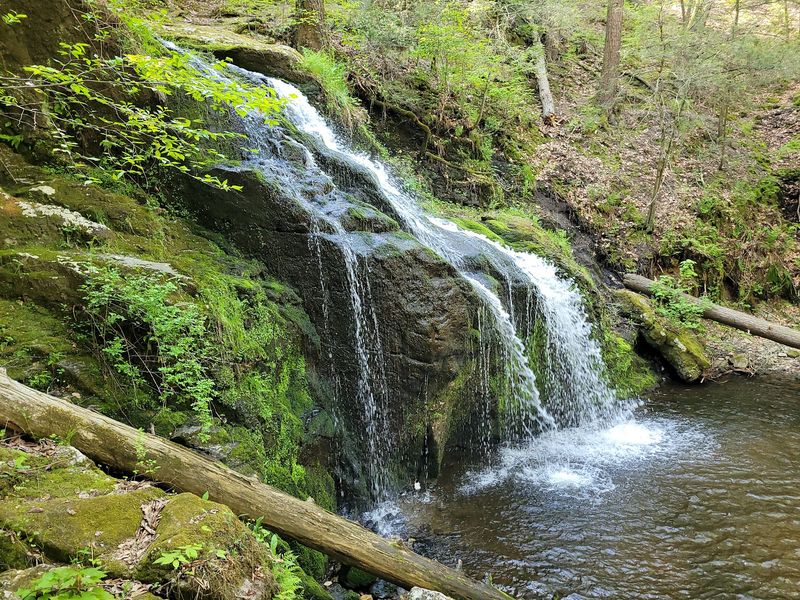 Nonnewaug Falls - Bethlehem