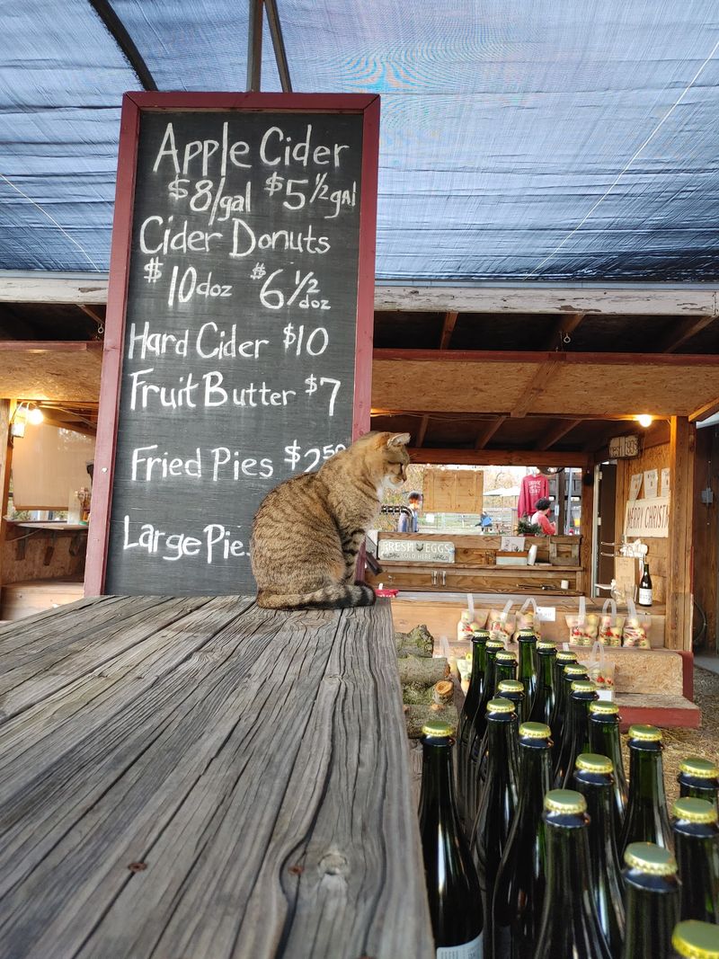 Windy Hill Orchard & Cider Mill - York