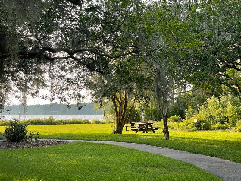 Lake Country Lookout: Santee National Wildlife Refuge in Summerton, Clarendon County