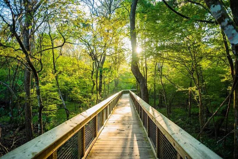 Explore The Park Beyond The Water