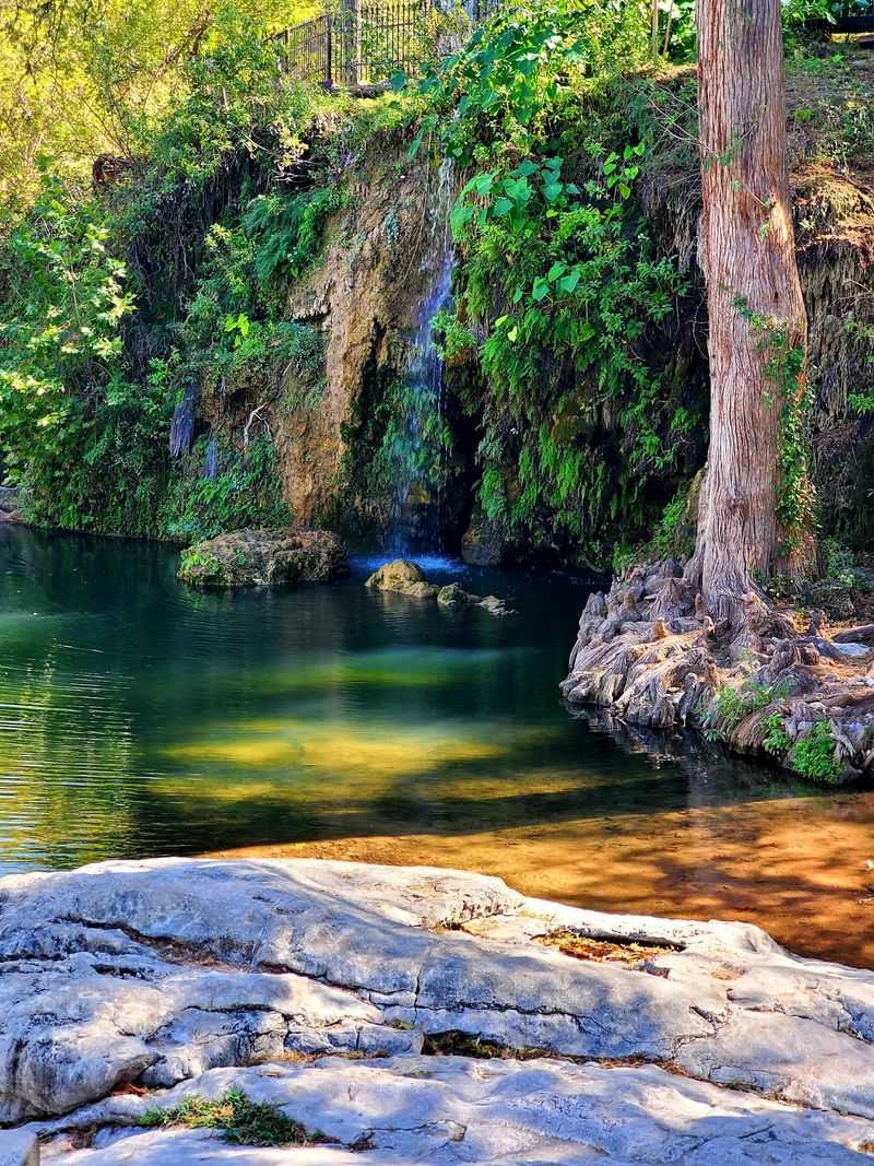 Krause Springs - Spicewood