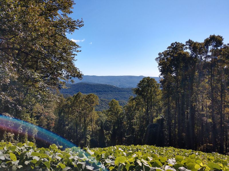 A View That Looks Painted In Blue