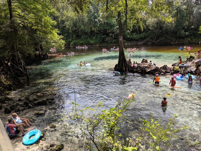 Madison Blue Spring State Park - Lee
