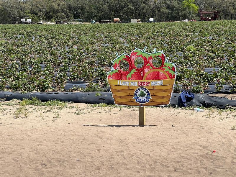 More Fruit When the Season Changes