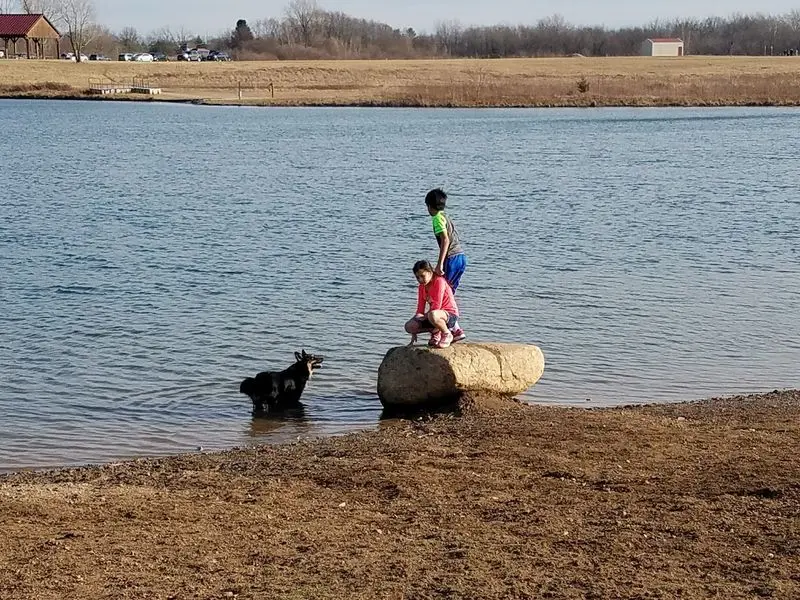 Water and Meadow Mix at Prairie Oaks Metro Park