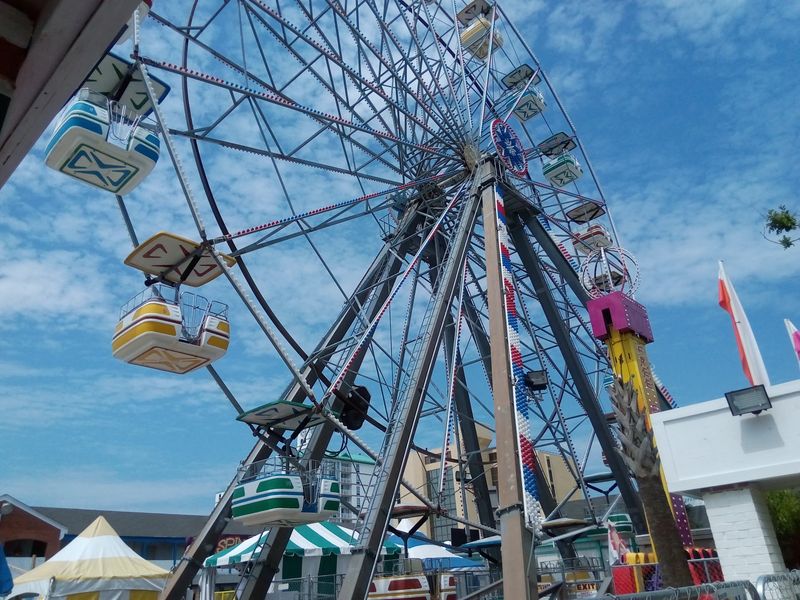 Ferris Wheel Views That Steal the Show