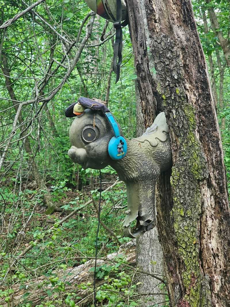 Found Art With a Mischievous Smile