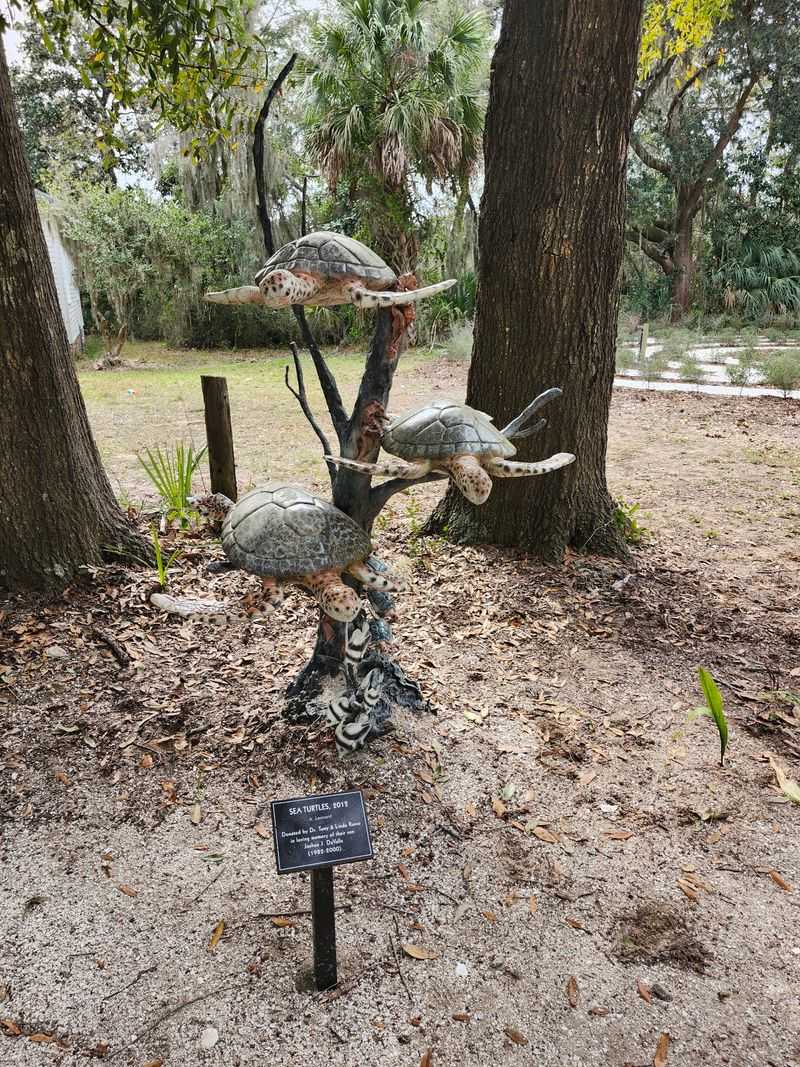 Coastal Discovery Museum - Hilton Head Island