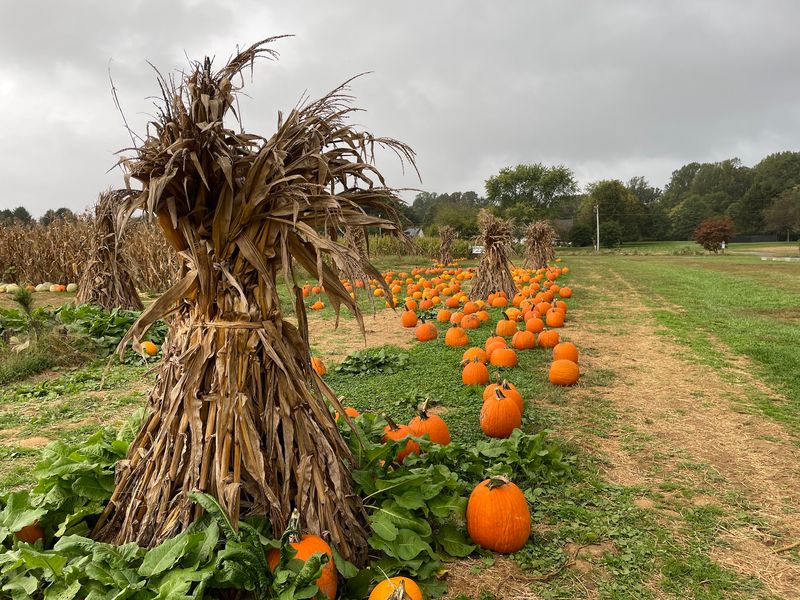 Filasky's Produce - Middletown