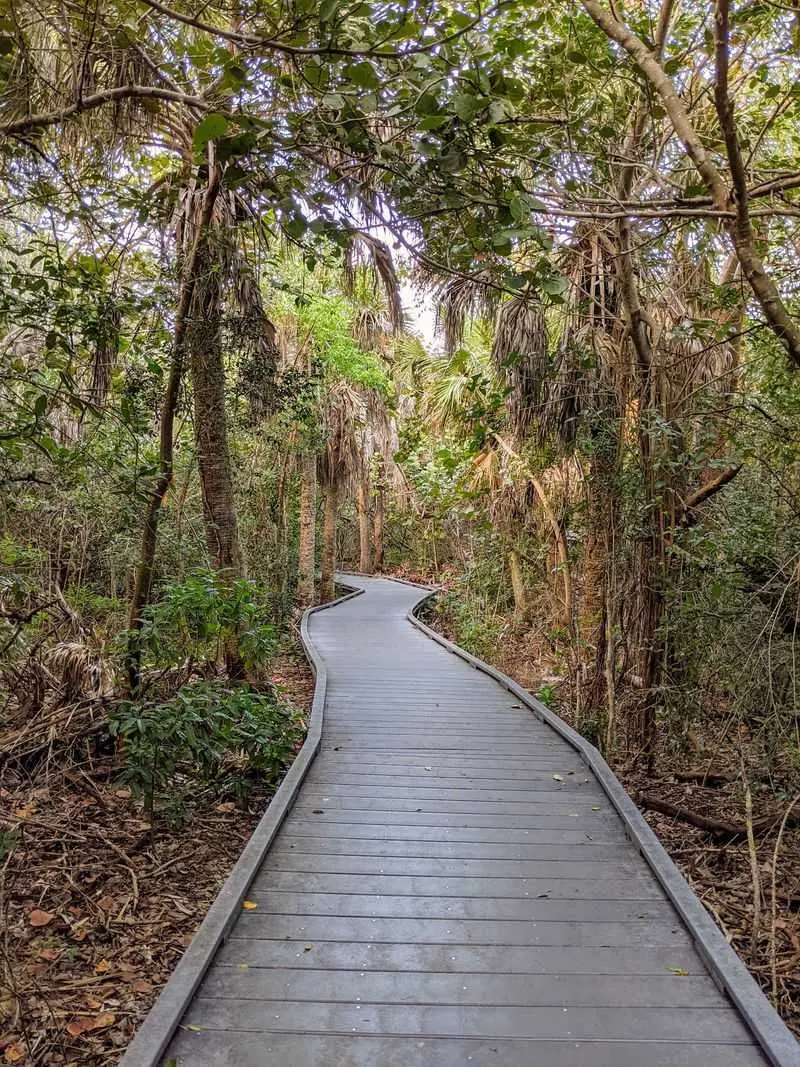 J.N. Ding Darling National Wildlife Refuge Tower in Sanibel Island, Lee County,