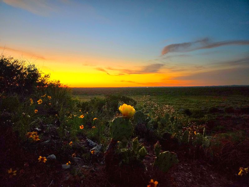 San Angelo State Park - An Affordable Outdoor Escape With Surprisingly Big Scenery
