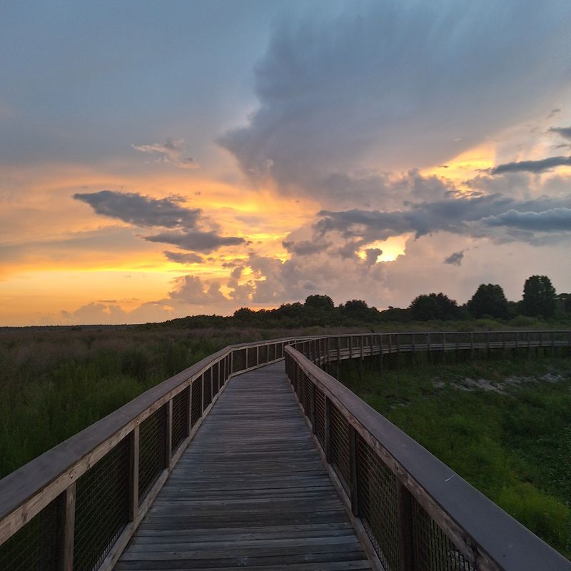 La Chua Trail - Paynes Prairie Preserve State Park
