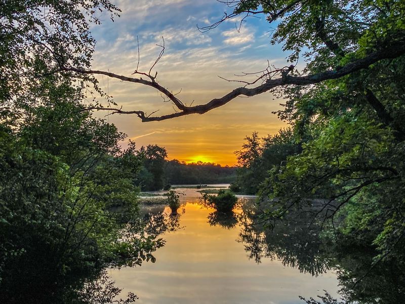 Killens Pond State Park Nature Trail, Felton, Kent County