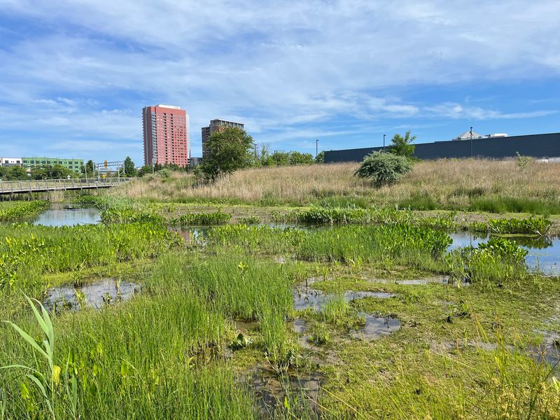 South Wilmington Wetlands Park in Wilmington, New Castle County,
