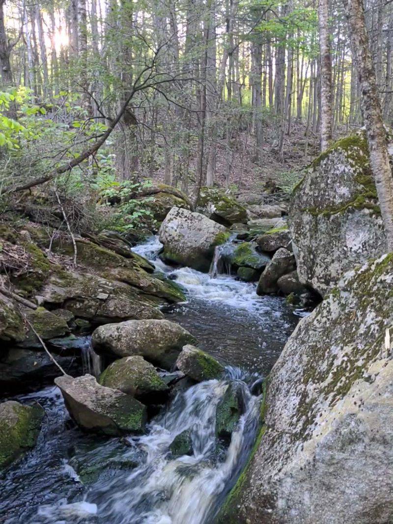 Royalston Falls