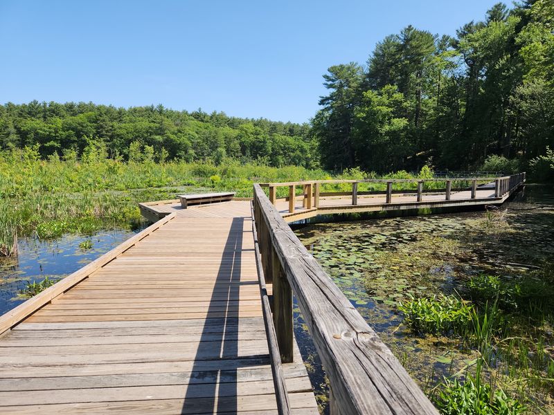 Broadmoor Wildlife Sanctuary - Natick