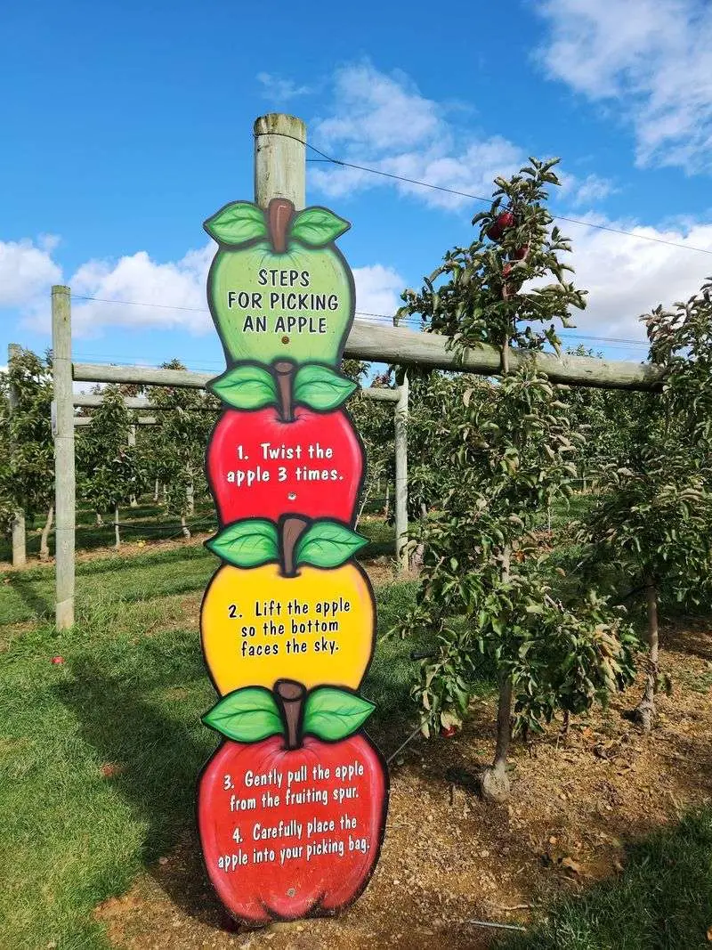 Grim's Orchard & Family Farms