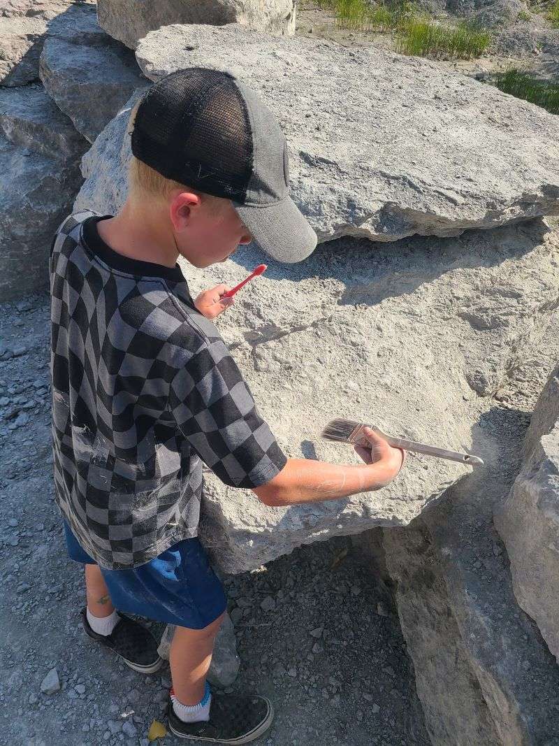 You Don't Need A Hammer To Find Fossils
