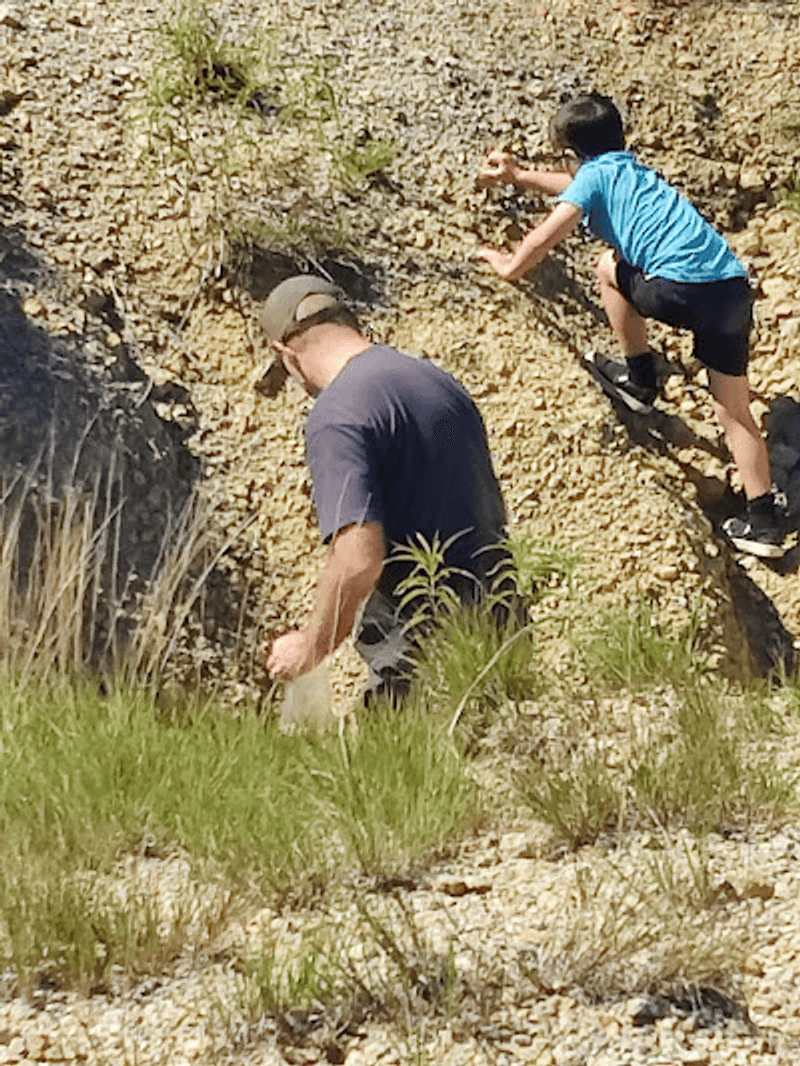 Quarry Trails With a Wild Side