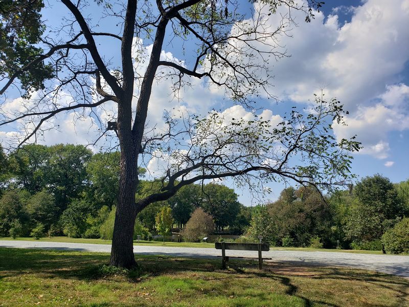 Bellevue State Park Trails - Wilmington
