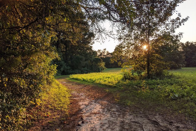 Killens Pond State Park, Felton, Kent County