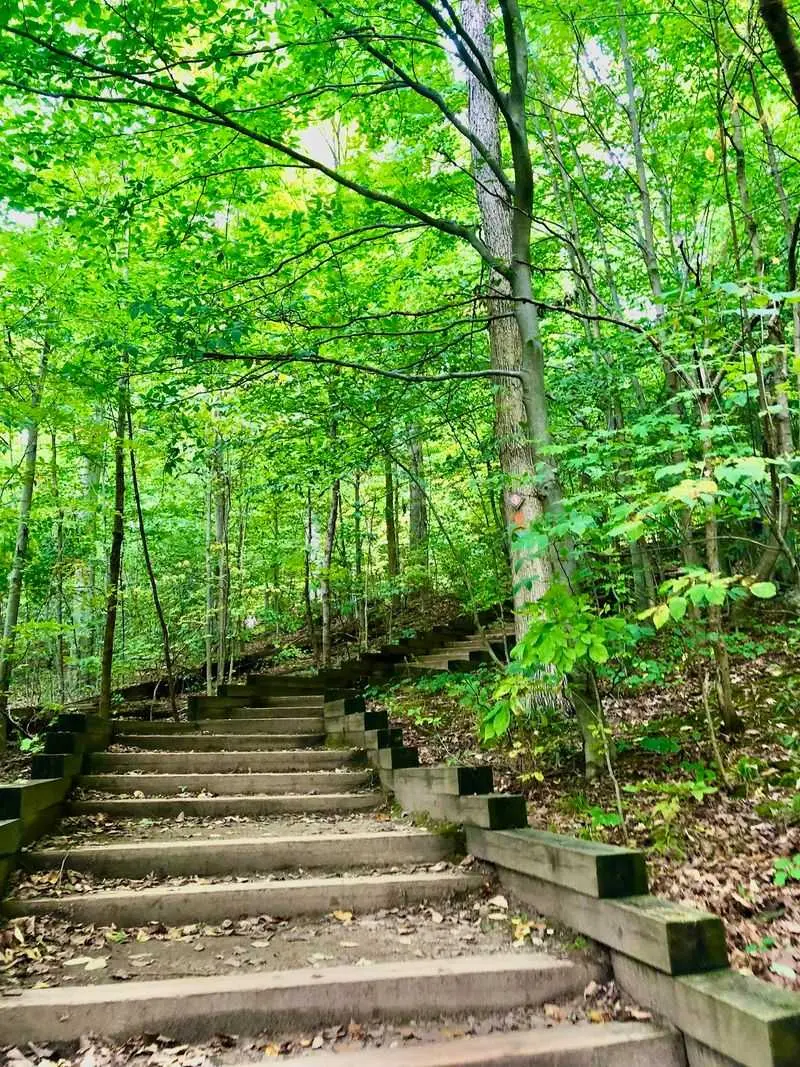 Whipp's Ledges Trail, Hinckley, Medina County