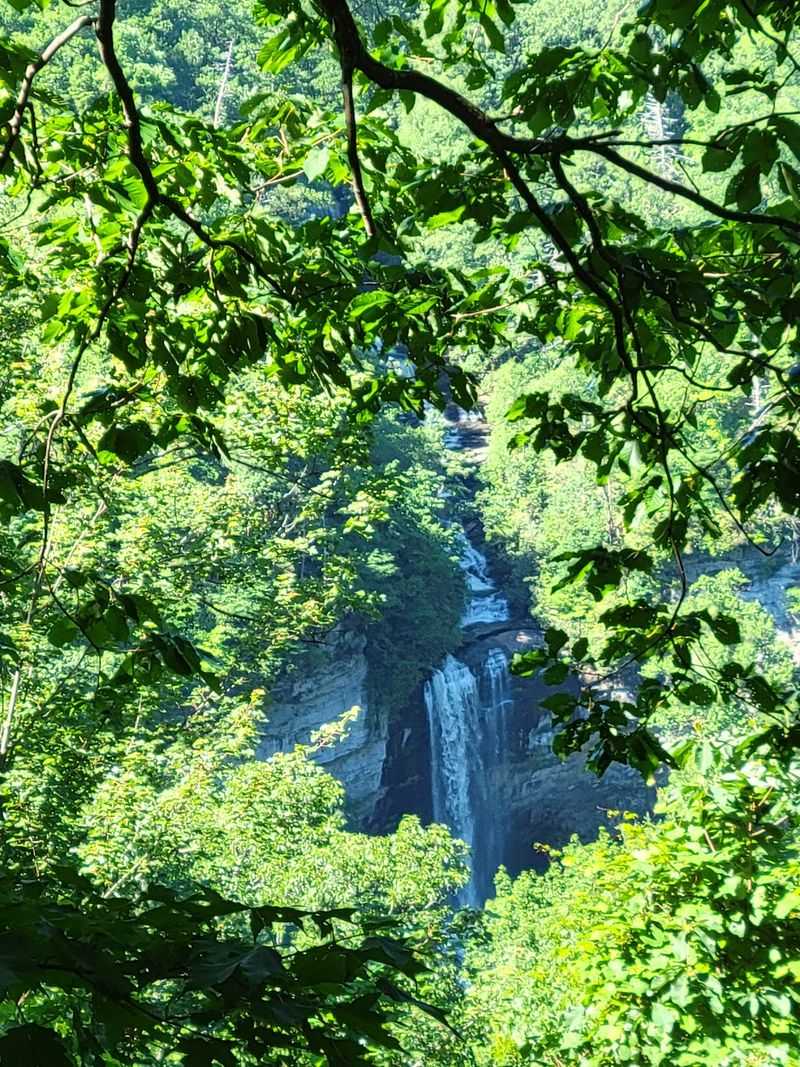 Raven Cliff Falls - Chase a Waterfall Through the Forest