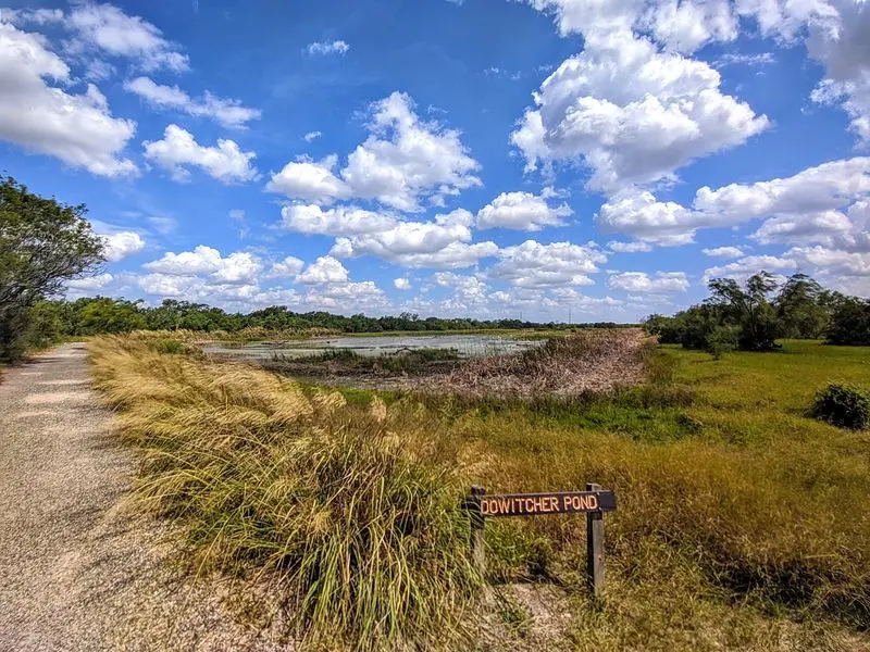 Estero Llano Grande State Park, Weslaco, Hidalgo County