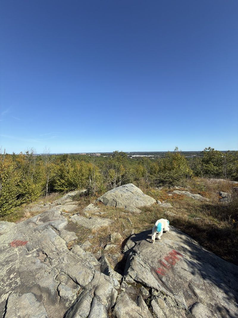 Blue Hills Reservation - Milton