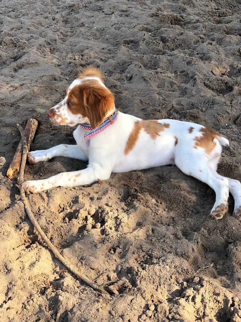 Nancy Weidenhamer Dog Park, Destin, Okaloosa County